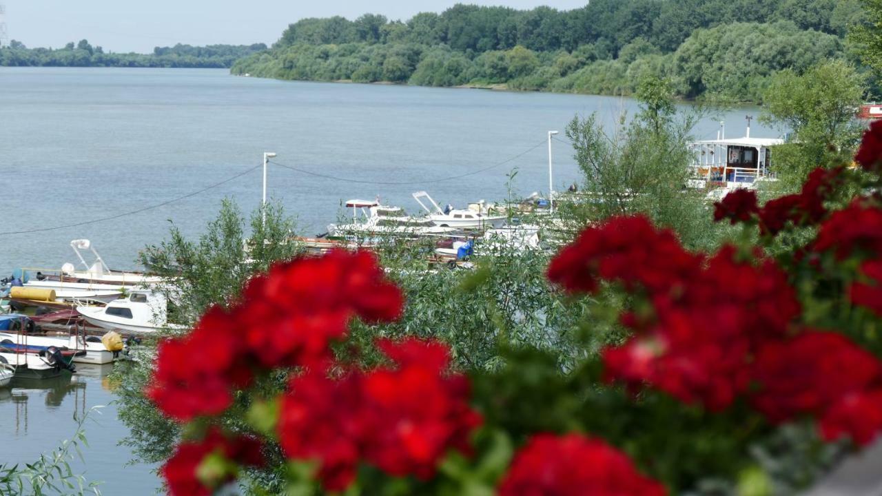 B&B Posejdon Sremska Mitrovica Exterior photo